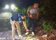 Klarifikasi Polda Lampung: Insiden Pemotor di TNBBS Lemong Pesisir Barat Adalah Kecelakaan, Bukan Kasus Begal