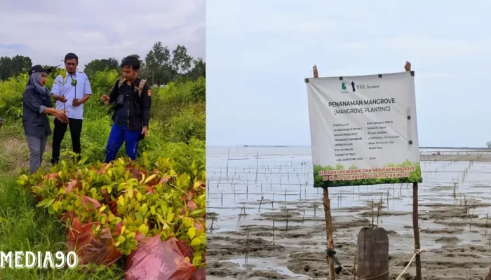 Yagasu Dapat Penghargaan dari Kampung Bumi Dipasana Agung karena Tanam 500 Ribu Bibit Mangrove di Seluruh Areal Tambak