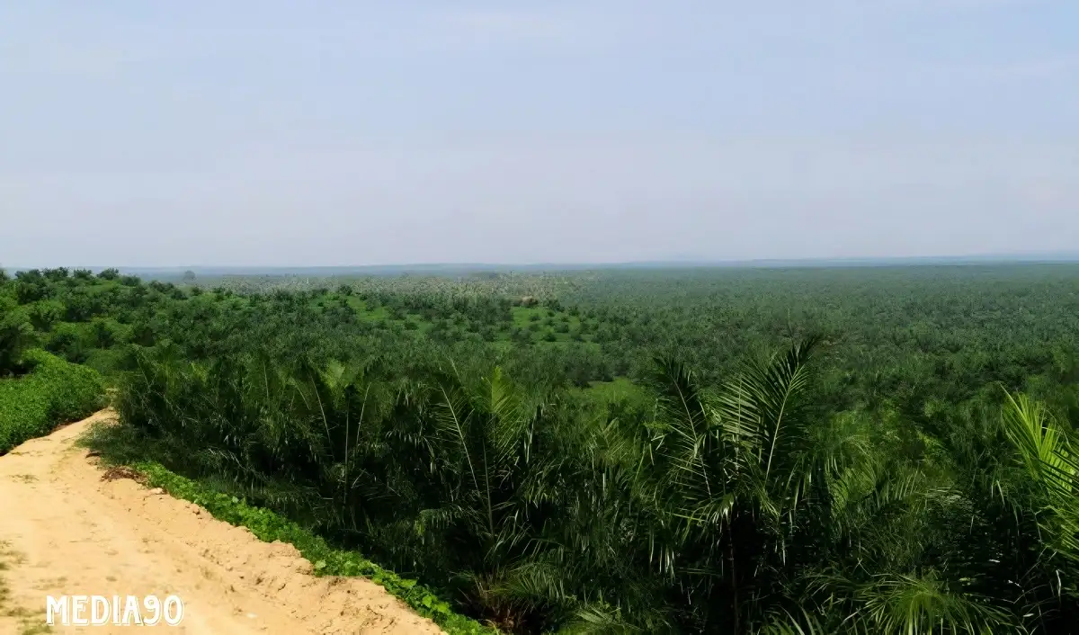 Digugat Warga Natar, Mahkamah Agung RI Putuskan PTPN VII Pemilik Sah 75 Ha Lahan di Sidosari