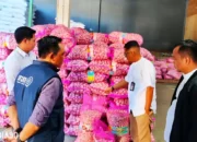 Harga Tinggi tak Turun Sejak Lebaran, KPPU Sidak Distribusi Bawang Putih di Lampung, ini Temuannya