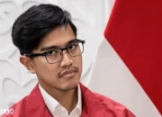 PSI Mengejar Fakta Terkait Pencalonan Kaesang di Bekasi