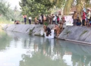 Pemprov Lampung Restocking Puluhan Ribu Benih Ikan di Pesawaran