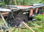 Tergelincir Tragis: Bus Studi Tour Pelajar MIN 1 Pesisir Barat Jatuh ke Jurang Sedayu Tanggamus