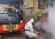 Waspada! Kasus Demam Berdarah Dengue di Bandar Lampung Meningkat Tiap Bulan