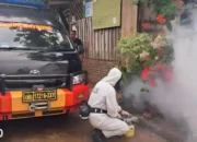 Perhatian! Peningkatan Kasus Demam Berdarah Dengue di Bandar Lampung Setiap Bulan