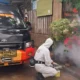 Waspada! Kasus Demam Berdarah Dengue di Bandar Lampung Meningkat Tiap Bulan