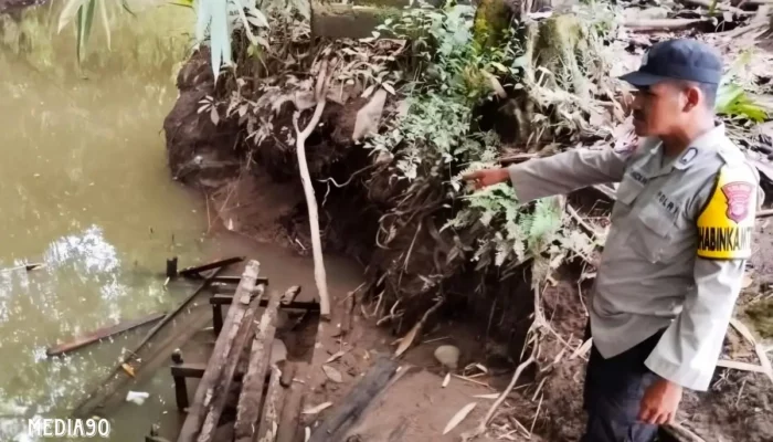 Seram! Wanita Diterkam Buaya Saat Cuci Baju di Sungai Banjar Negoro, Tanggamus Wonosobo