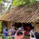 Menduda Sendirian di Gubuk Pekon Purwodadi Gisting Tanggamus, Pria ini Ditemukan Tiga Hari Setelah Meninggal