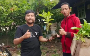 Pemuda Pegiat Kopi di Suoh Lampung Barat Bagikan Ribuan Bibit Kopi Robusta Gratis ke Petani