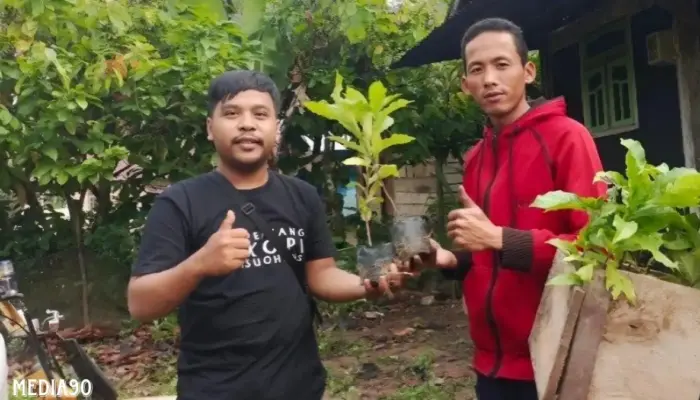 Pemuda Pecinta Kopi di Suoh Lampung Barat Bagikan Ribuan Bibit Kopi Robusta Gratis kepada Petani