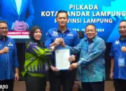 Pilkada 2024, Demokrat Beri Surat Rekomendasi ke Eva - Deddy di Bandar Lampung dan Adi Erlansyah - Hisbullah di Pringsewu