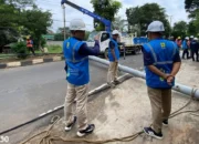 Pohon Tumbang di Pengajaran Bandar Lampung Timpa Tiang Listrik Hingga Patah, PLN Gerak Cepat Normalkan Pasokan Listrik