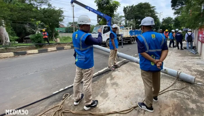 PLN Bergerak Cepat Pulihkan Pasokan Listrik Akibat Pohon Tumbang di Pengajaran Bandar Lampung