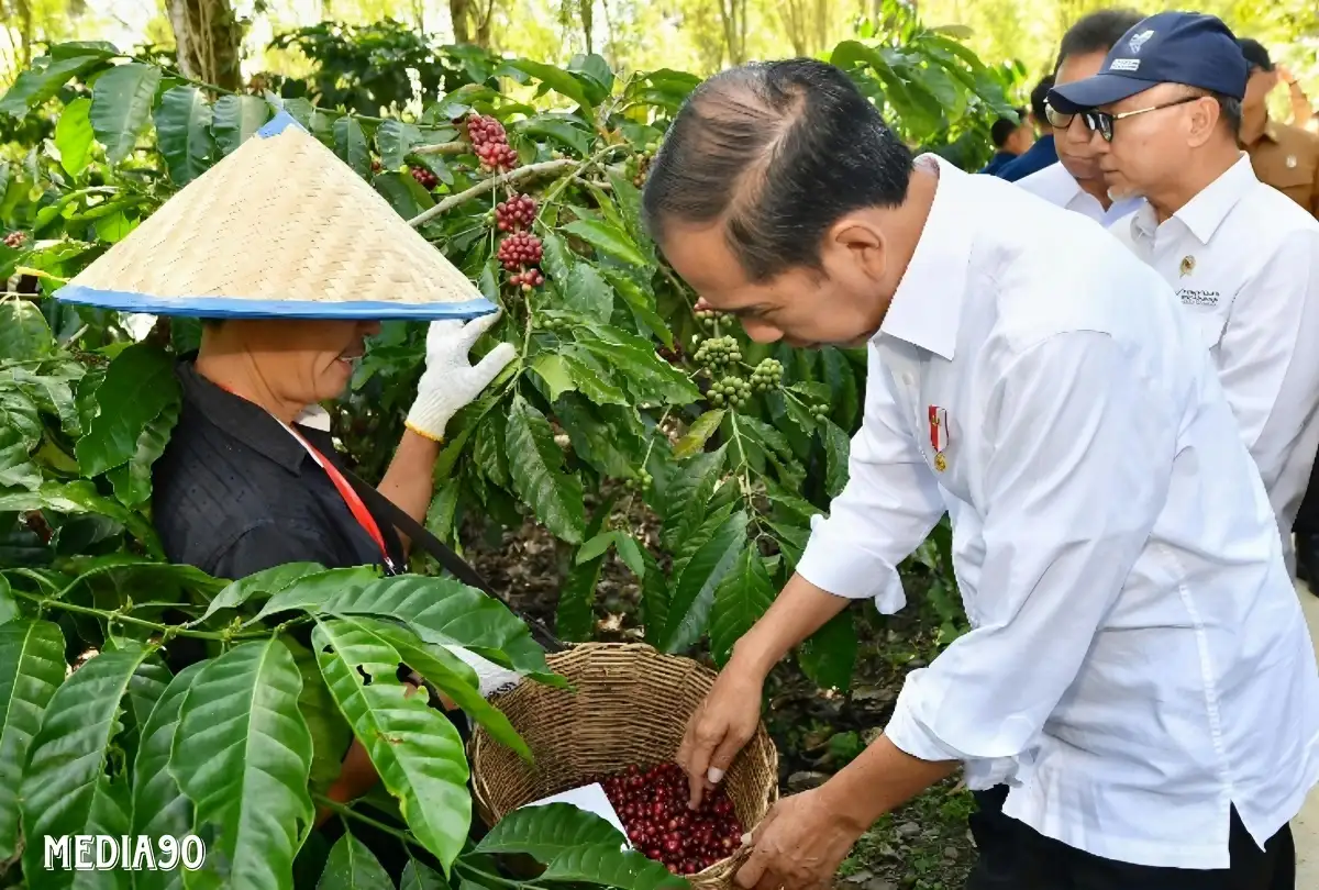 Presiden Joko Widodo Minta Hilirisasi, Petani Kopi Lampung Barat Curhat Ingin Dibangunkan Gudang dan Pabrik