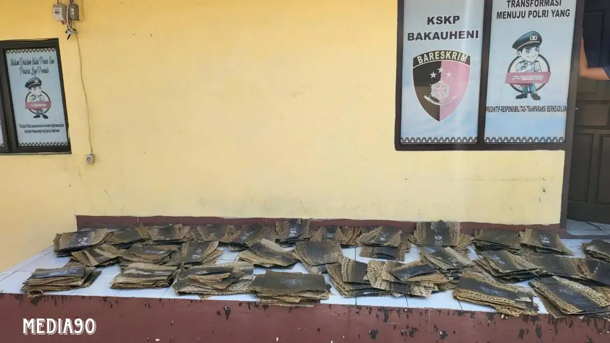Dikirim ke Tangerang, Penyelundupan Ratusan Kulit Piton Ilegal Digagalkan Balai Karantina di Pelabuhan Bakauheni