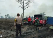 Lagi, Puluhan Hektar Lahan di Taman Nasional Way Kambas Lampung Timur Dua Hari Ludes Terbakar