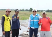 Refleksi Hari Pahlawan, Petani di Way Panji Lampung Selatan ini Sukses Wujudkan Ketahanan Pangan Berkat Bantuan PLN