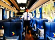 Tiket Nataru Bisa Dipesan Mulai Sekarang, Damri Lampung Siap Layani Penumpang 1 Desember-6 Januari 2025