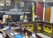 Komisi II DPRD Lampung Dorong Dinas Ketahanan Pangan Segera Jalin Kerjasama Program Listrik Untuk Pertanian Rakyat Dengan PLN