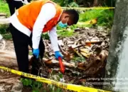 Hendak Cari Kayu, Warga Temukan Pria Meninggal di Semak Palas Lampung Selatan, ini Penyebabnya