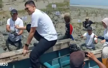 Program Sinergi Bumi Lampung Hijau Bareng Honda, TDM Tanam Ribuan Bibit Pohon Mangrove di Ketapang Lampung Selatan