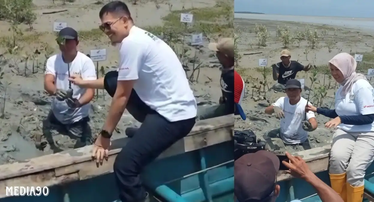 Program Sinergi Bumi Lampung Hijau Bareng Honda, TDM Tanam Ribuan Bibit Pohon Mangrove di Ketapang Lampung Selatan