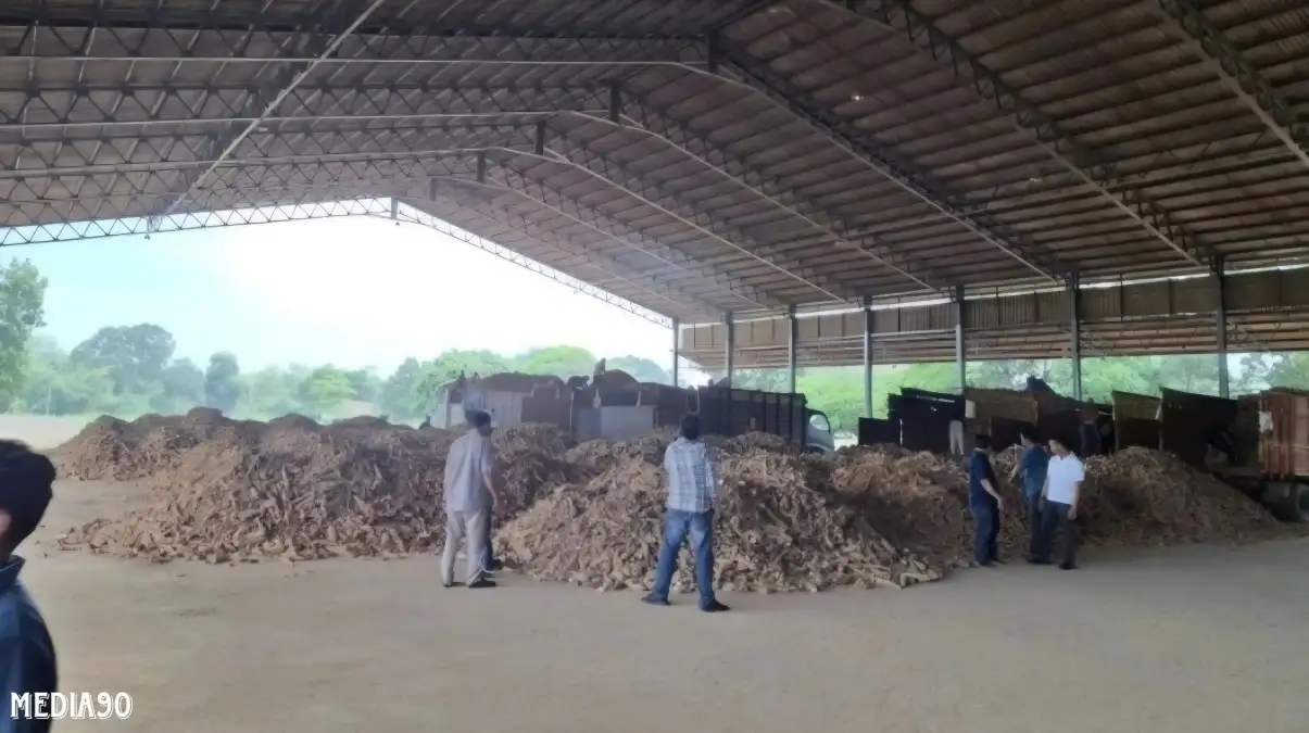 Sidak ke Lampung, Kementerian Pertanian Periksa Tata Kelola 71 Perusahaan Tapioka, Minta Mutu Ubi Kayu Dijaga