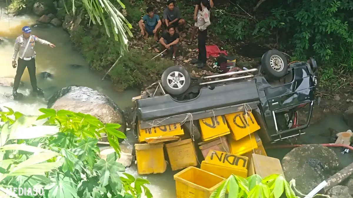 Sopir Ngantuk, Mobil Pickup Muatan Kotak Ikan Terjun ke Jurang 15 Meter di Karya Penggawa Pesisir Barat