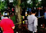 Diduga tak Kuat Hadapi Masalah Hidup, Pemuda ini Akhiri Hidup di Pohon Asam Pekon Sidoharjo Pringsewu